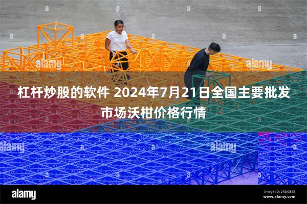 杠杆炒股的软件 2024年7月21日全国主要批发市场沃柑价格行情