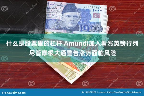 什么是股票里的杠杆 Amundi加入看涨英镑行列 尽管摩根大通警告涨势面临风险