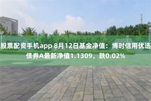 股票配资手机app 8月12日基金净值：博时信用优选债券A最新净值1.1309，跌0.02%