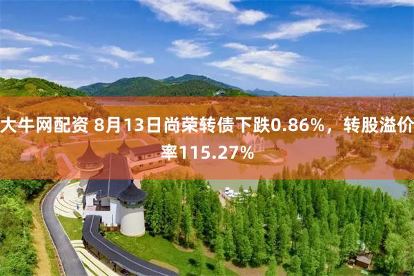 大牛网配资 8月13日尚荣转债下跌0.86%，转股溢价率115.27%