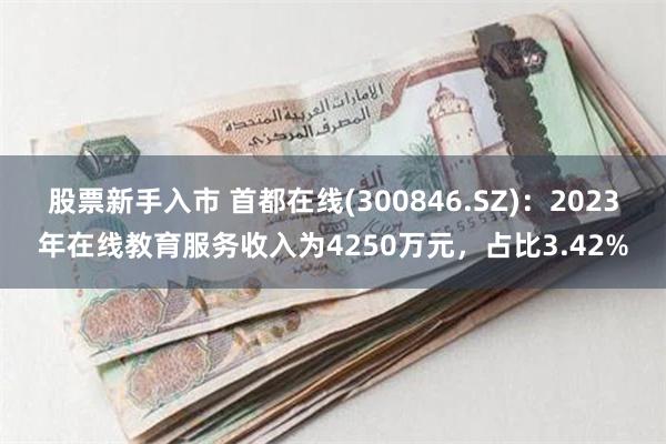 股票新手入市 首都在线(300846.SZ)：2023年在线教育服务收入为4250万元，占比3.42%