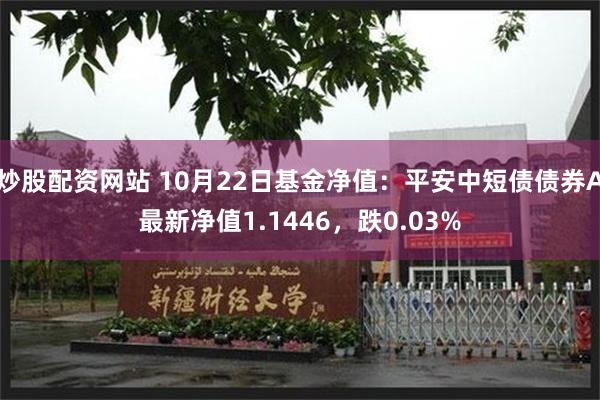 炒股配资网站 10月22日基金净值：平安中短债债券A最新净值1.1446，跌0.03%