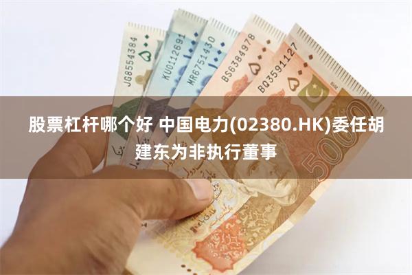 股票杠杆哪个好 中国电力(02380.HK)委任胡建东为非执行董事