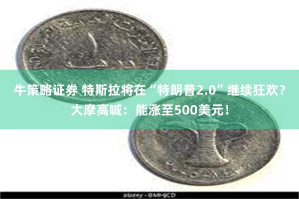 牛策略证券 特斯拉将在“特朗普2.0”继续狂欢？大摩高喊：能涨至500美元！